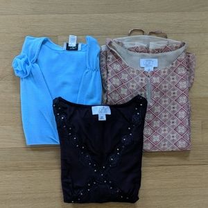 Ann Taylor Loft EUC Bundle of 3 Tops